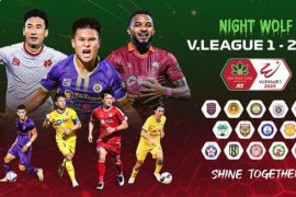 Tìm hiểu nhanh về Giải Bóng đá Vô địch Quốc gia Việt Nam