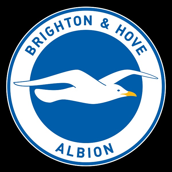 Thứ hạng của câu lạc bộ bóng đá Brighton & Hove Albion trên BXH Ngoại Hạng Anh